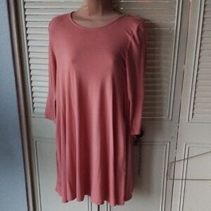 Unworn Swing Dress/tunic